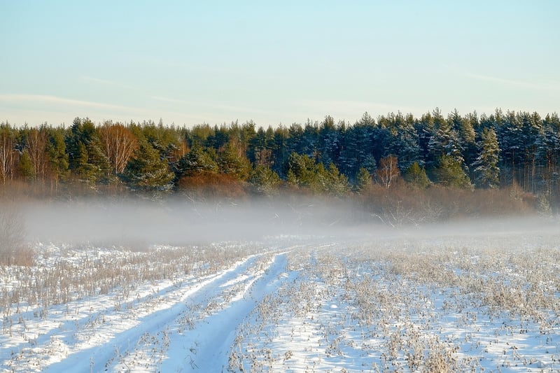Wilderness Expeditions