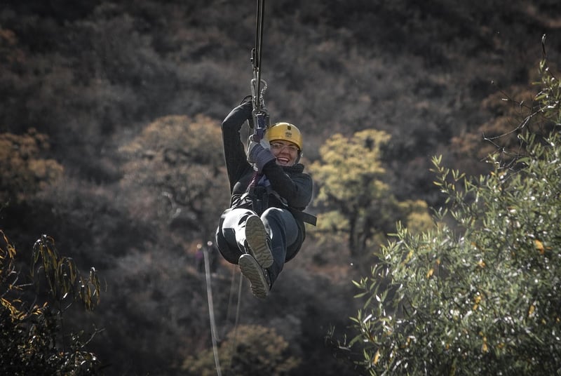 Zip Lining through Forest